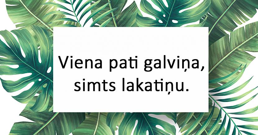 nbspAtbildenbspKāpostgalva Autors: matilde 20 interesantas latviešu tautas mīklas