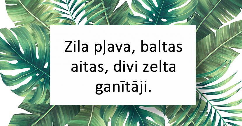 nbspAtbildenbspDebesis un... Autors: matilde 20 interesantas latviešu tautas mīklas