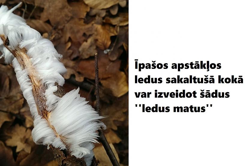Autors: The Diāna 18 attēli, kuri pierāda, ka Māte Daba ir pārsteigumu pilna