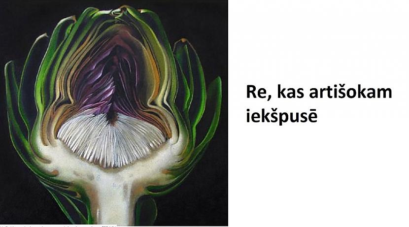 Autors: The Diāna Apskati lietas šķērsgriezumā!