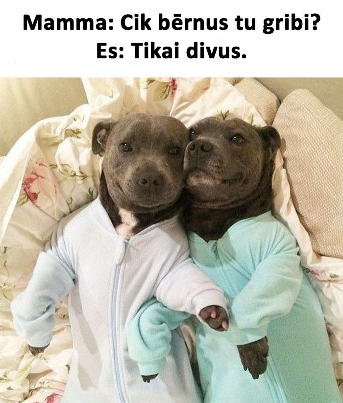 Autors: matilde 15 patiesas memītes un joki par tiem, kuriem NAV bērnu