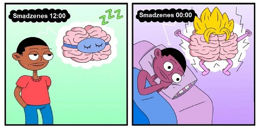 Autors: The Diāna 28 forši komiksiņi par dzīvi, sievietēm un kaķiem