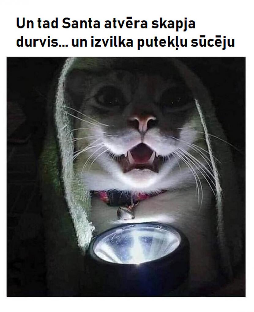 Autors: The Diāna Smieklīgāko joku un memīšu izlase