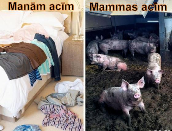 Autors: rasiks Ikdienas sīkumi bildēs