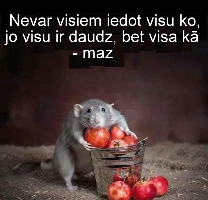 Autors: rasiks Ikdienas sīkumi bildēs