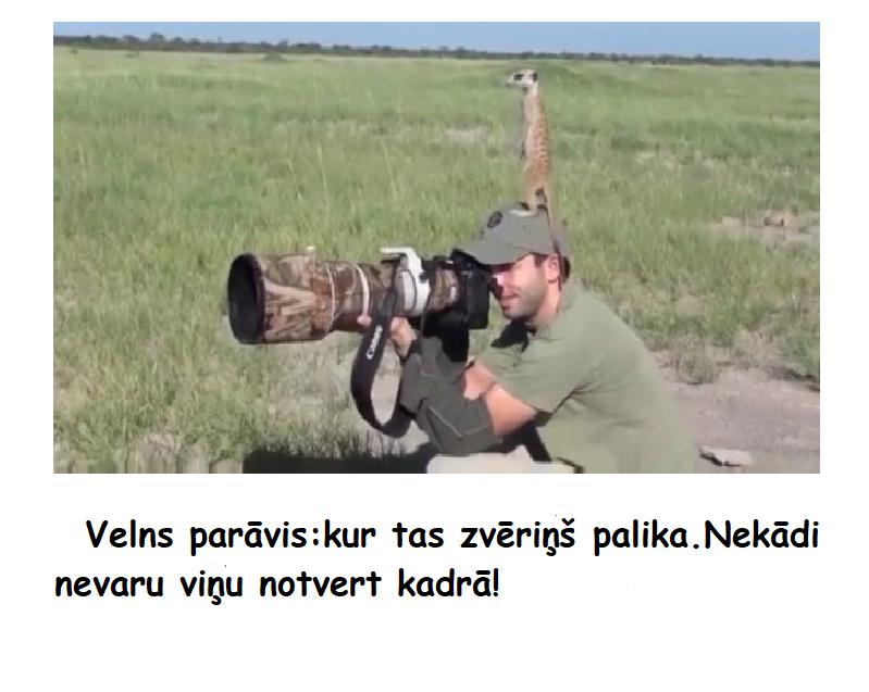 Spoki joko