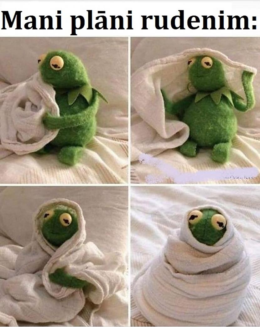 Autors: The Diāna Smieklīgāko memīšu izlase labākam garastāvoklim (20 memes)
