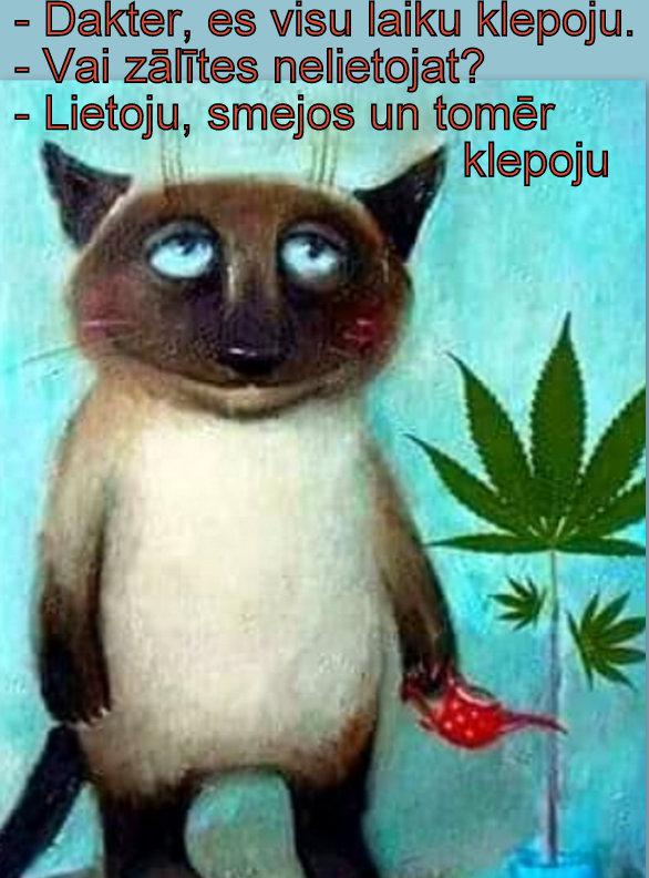 Autors: rasiks Bilžuki par mums pašiem (1)