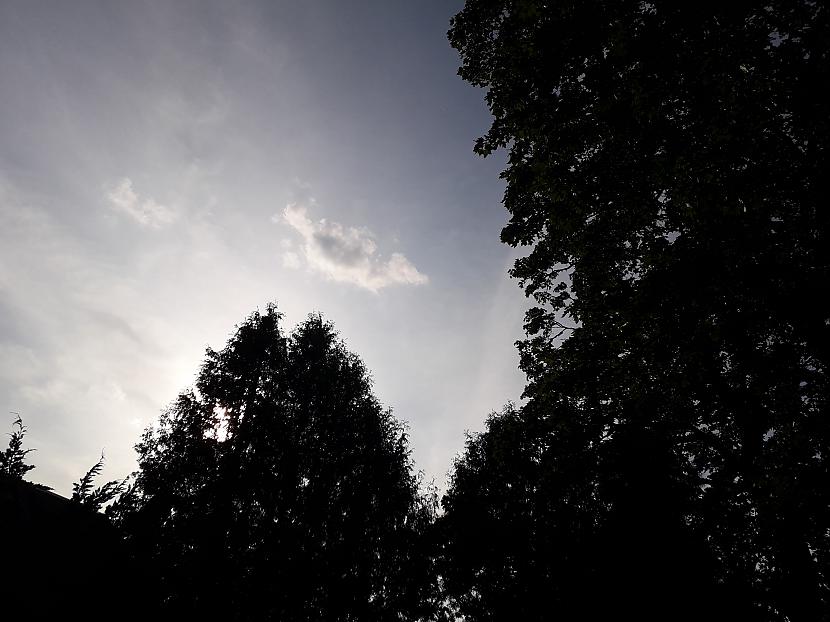 Autors: Griffith Atvaļinājums - 26. augusts, 2019. 1/2 daļa.