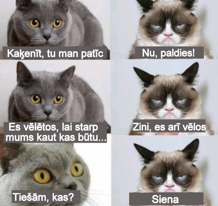 nbspUz pretēju māju jumtiem... Autors: rasiks Smieklīgi bilžuki