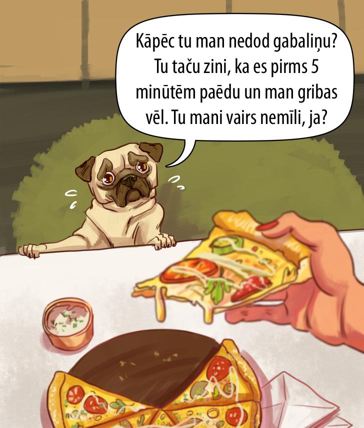 Autors: matilde Kā būtu, ja mājdzīvnieki spētu runāt ar cilvēkiem (11 komiksi)