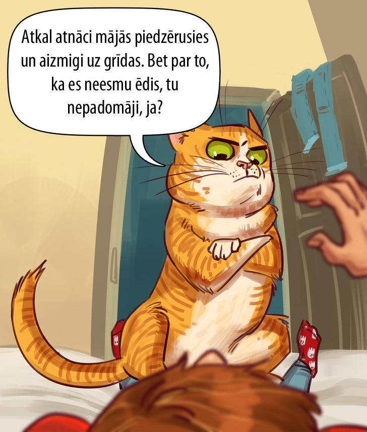 Autors: matilde Kā būtu, ja mājdzīvnieki spētu runāt ar cilvēkiem (11 komiksi)