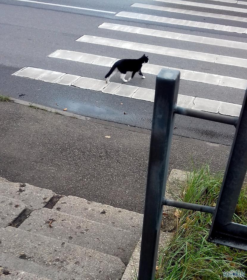 Tam ielas viņā pusē tikt... Autors: rasiks Svarīgi jaunumi