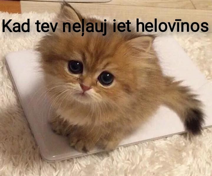 Pievienoja Eipene Autors: EV1TA Konkurss: Izveido Halovīna memīti un tiec pie labumiem