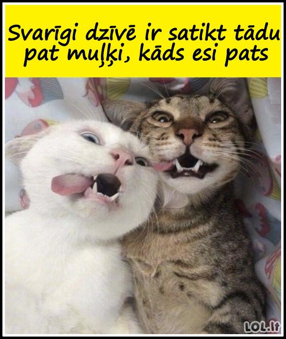 Autors: rasiks Katram sava mīlestība