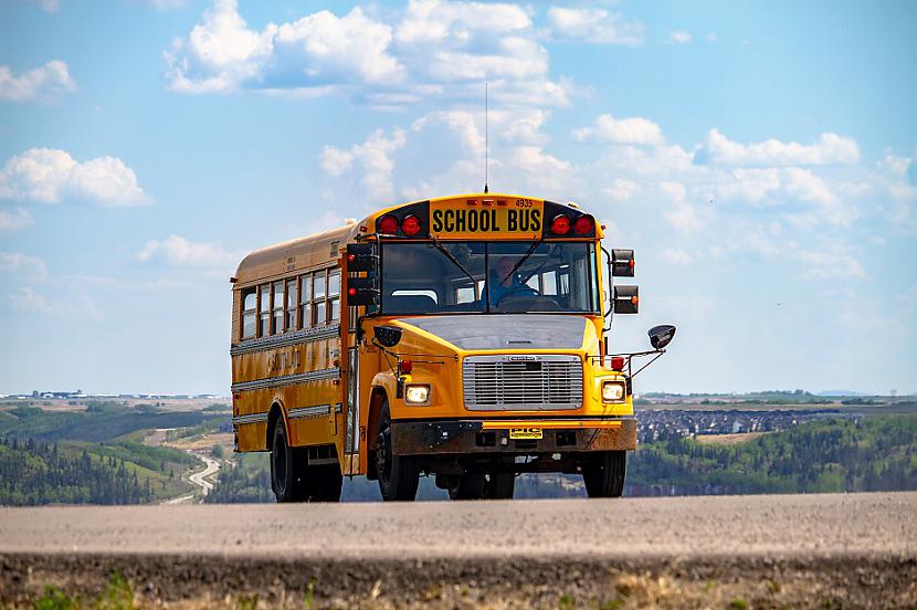 nbspSkolu autobusiDzeltenā... Autors: Lestets 10 ikdienišķas lietas, kuru krāsa nav izvēlēta nejauši