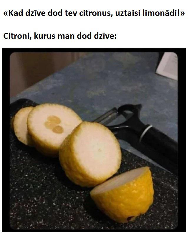 Autors: The Diāna Memīšu izlase labākam noskaņojumam (19 attēli)