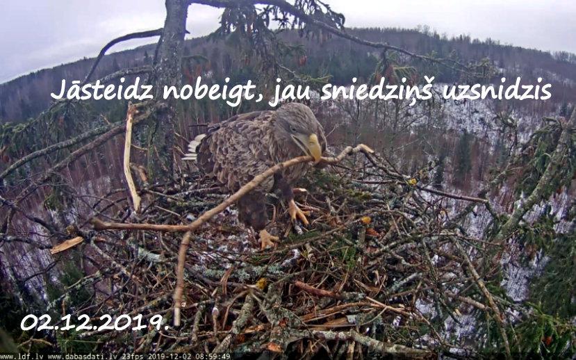 Autors: rasiks Katram savs vaļasprieks.