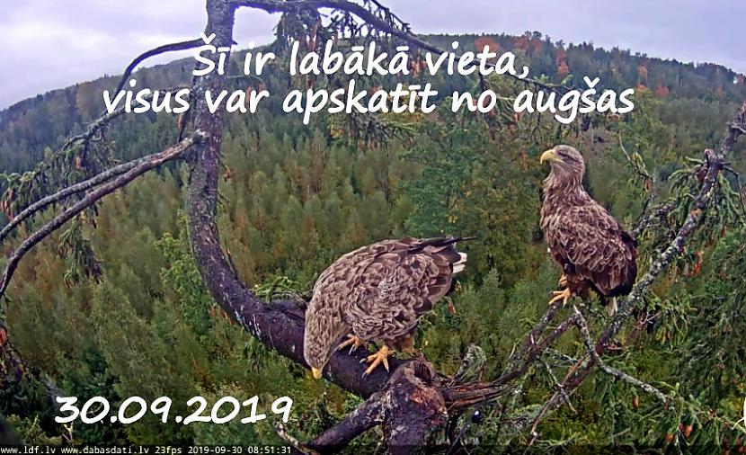 Autors: rasiks Katram savs vaļasprieks.