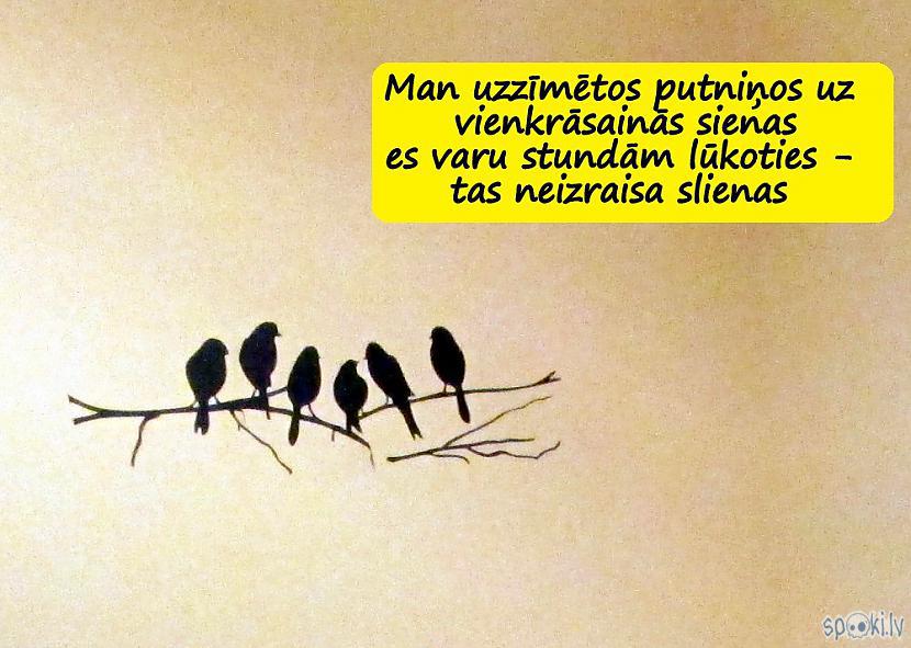Autors: rasiks Kāda kaķa stāsts