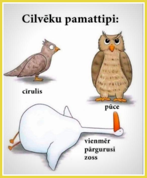 Autors: rasiks Bilžuki par mums pašiem (3)