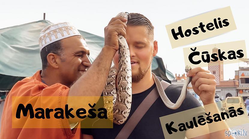 Autors: Ceļoarediju Marakešas piedzīvojumi. Vegāniem nepatiks!