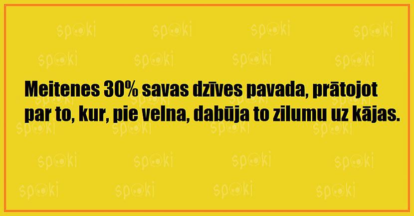 Jociņu izlase garastāvokļa uzlabošanai (17 attēli)