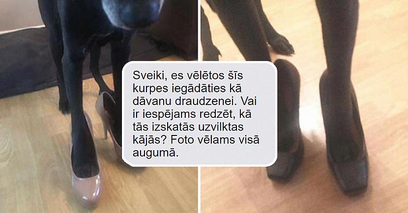 Sieviete parāda, kā tiek galā ar vīriešiem, kuri vēlas «nopirkt» viņas kurpes