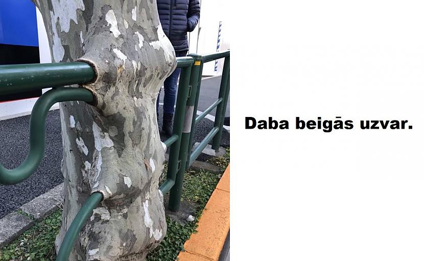 Autors: The Diāna 20 attēli, kas izskatās viltoti, bet ir īsti