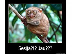 Kā sveikā tikt cauri sesijai? (LLU)