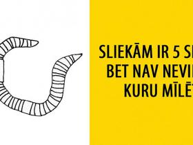 40 bēdīgi fakti par dzīvniekiem.