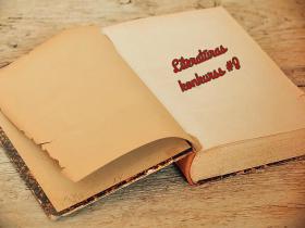 Literatūras konkurss #8 balsošana