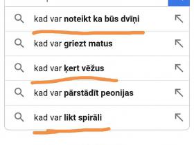 Ko latvieši biežāk meklē Googlē?