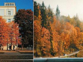 Sociālo tīklu lietotāji atrāda savas labākās «Zelta rudens» fotogrāfijas