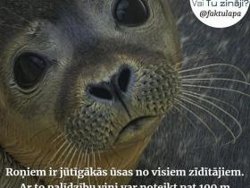 Vai Tu zināji? 8. daļa