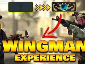 CS:GO Wingman Experience