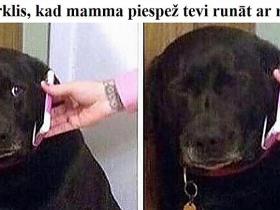 Smieklīgas memītes jautrākam noskaņojumam