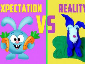 expectation vs reality