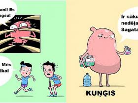 Smieklīgi komiksiņi par to, kādu dzīvi dzīvo mūsu iekšējie orgāni
