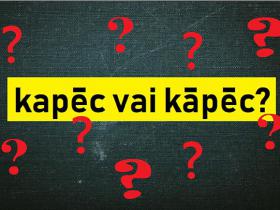 Vai spēsi izpildīt šo latviešu valodas testu pilnīgi pareizi?