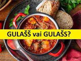Latviešu valodas tests pareizrakstības ekspertiem