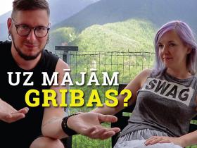 Uz mājām gribas? Pusceļa sarunas