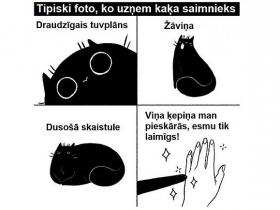 28 forši komiksiņi par dzīvi, sievietēm un kaķiem