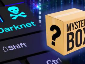 Mystery box from dark web