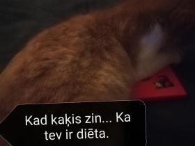 Joki par skolu un vēl...
