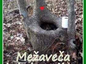 Lietderīgā laika nosišanai