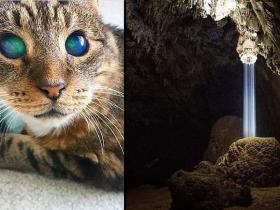 Fotogrāfijas, kas nebeidz mūs pārsteigt