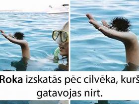 19 fotogrāfijas, uz kurām ir jāskatās DIVREIZ, lai saprastu, kas tur ir redzams