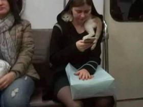 Asorti labākai dienai (20.01.2020)