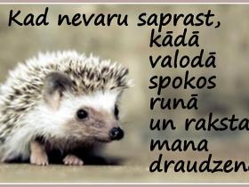 Bilžuki par mums pašiem (2)